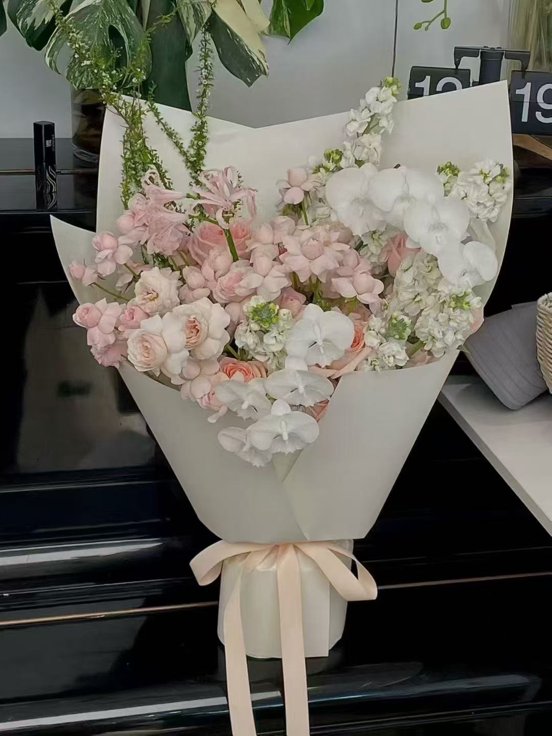 The Encounter Between the Fairy and the White Swan(Anchor development)