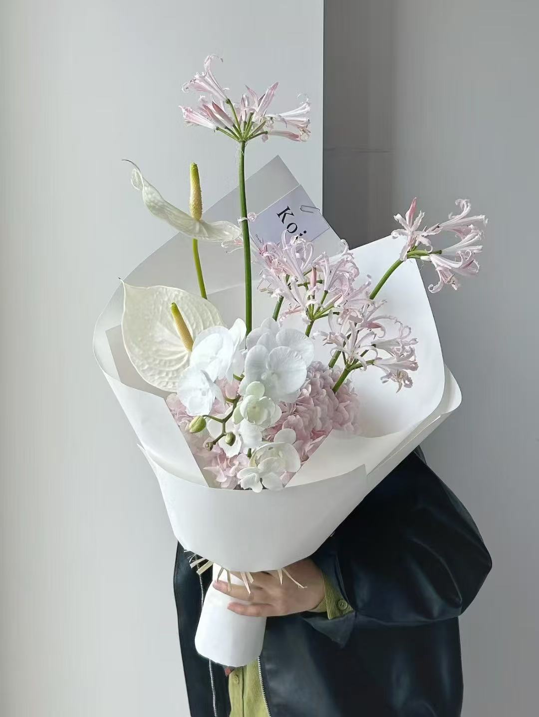 Imported Lycoris Mix(Anchor development)