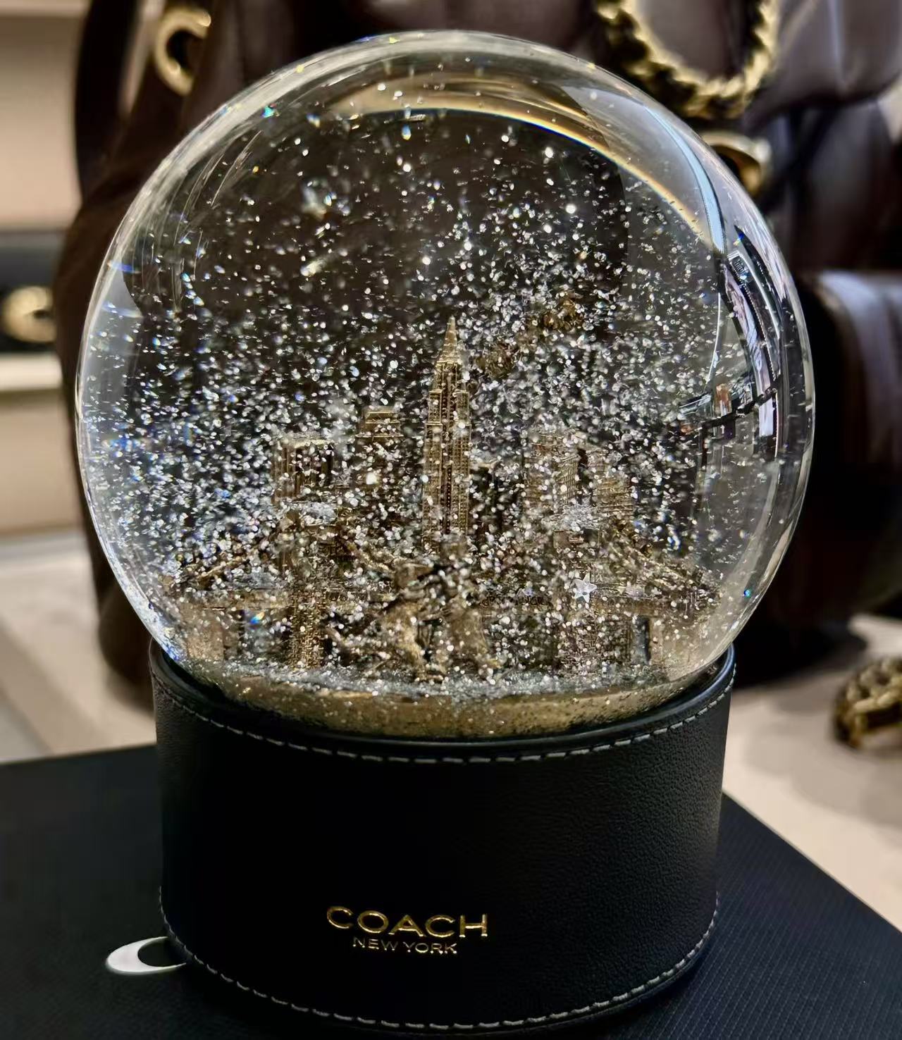 Coach Christmas snow globe(Anchor development)