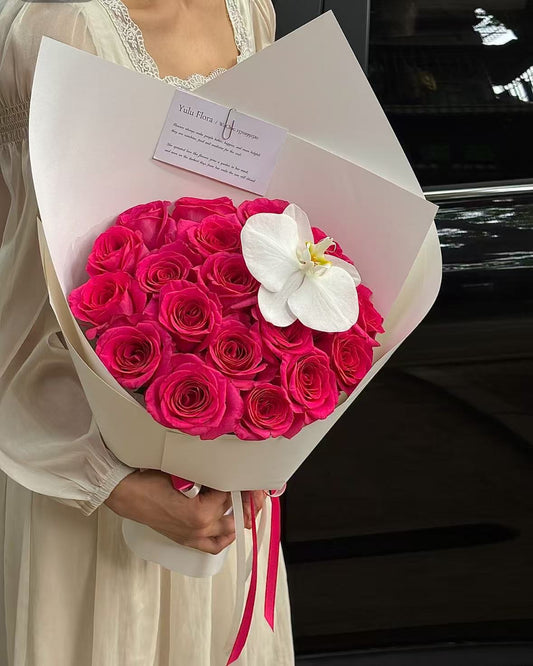 Freud(Anchor development)