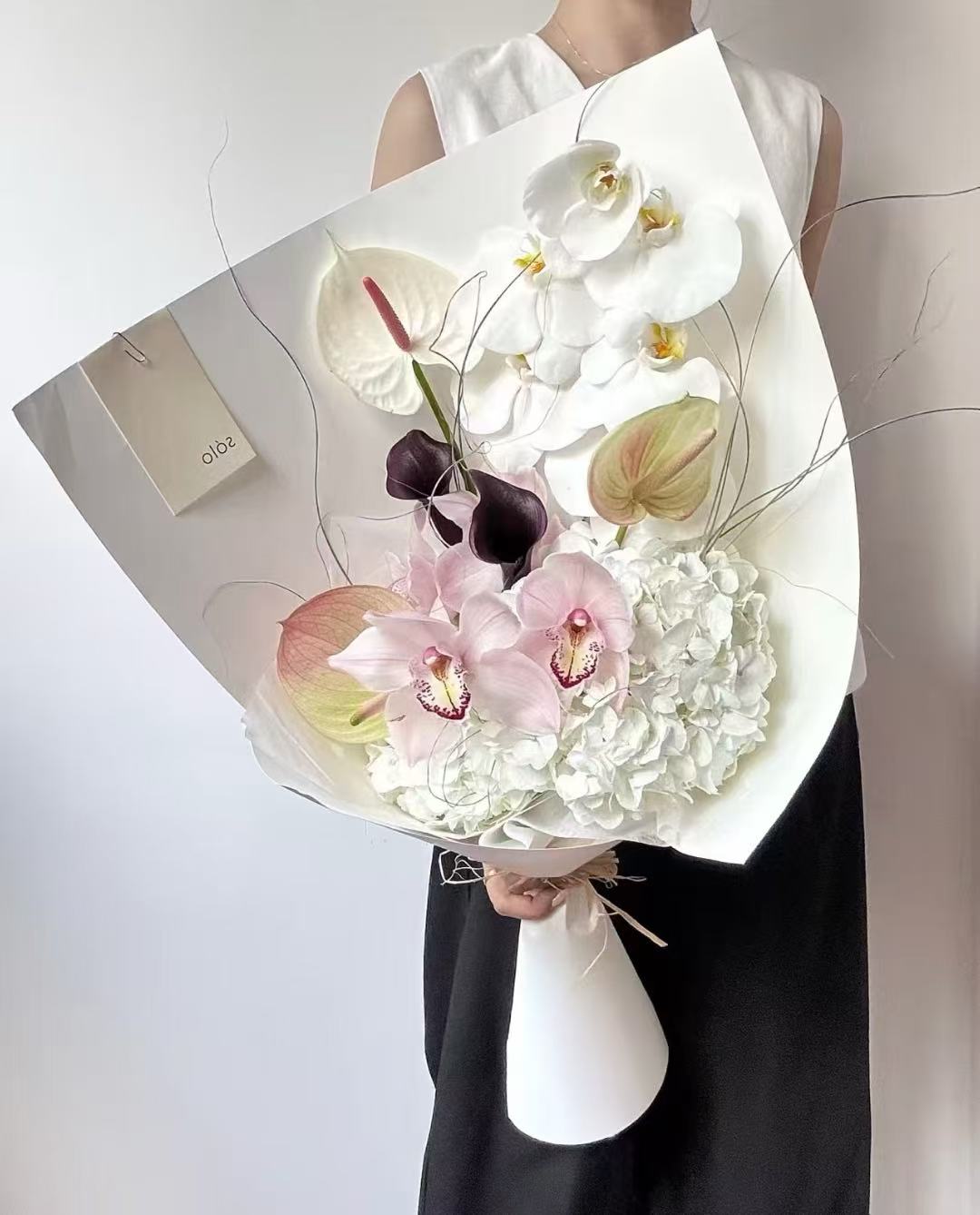 Modern minimalist niche anthurium mix(Anchor development)