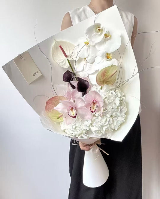 Modern minimalist niche anthurium mix(Anchor development)