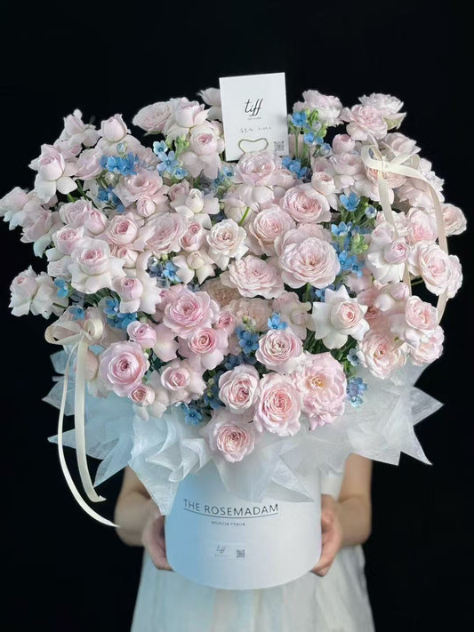 Fairy Kiss Blue Star Flower Hugging Bucket(Anchor development)